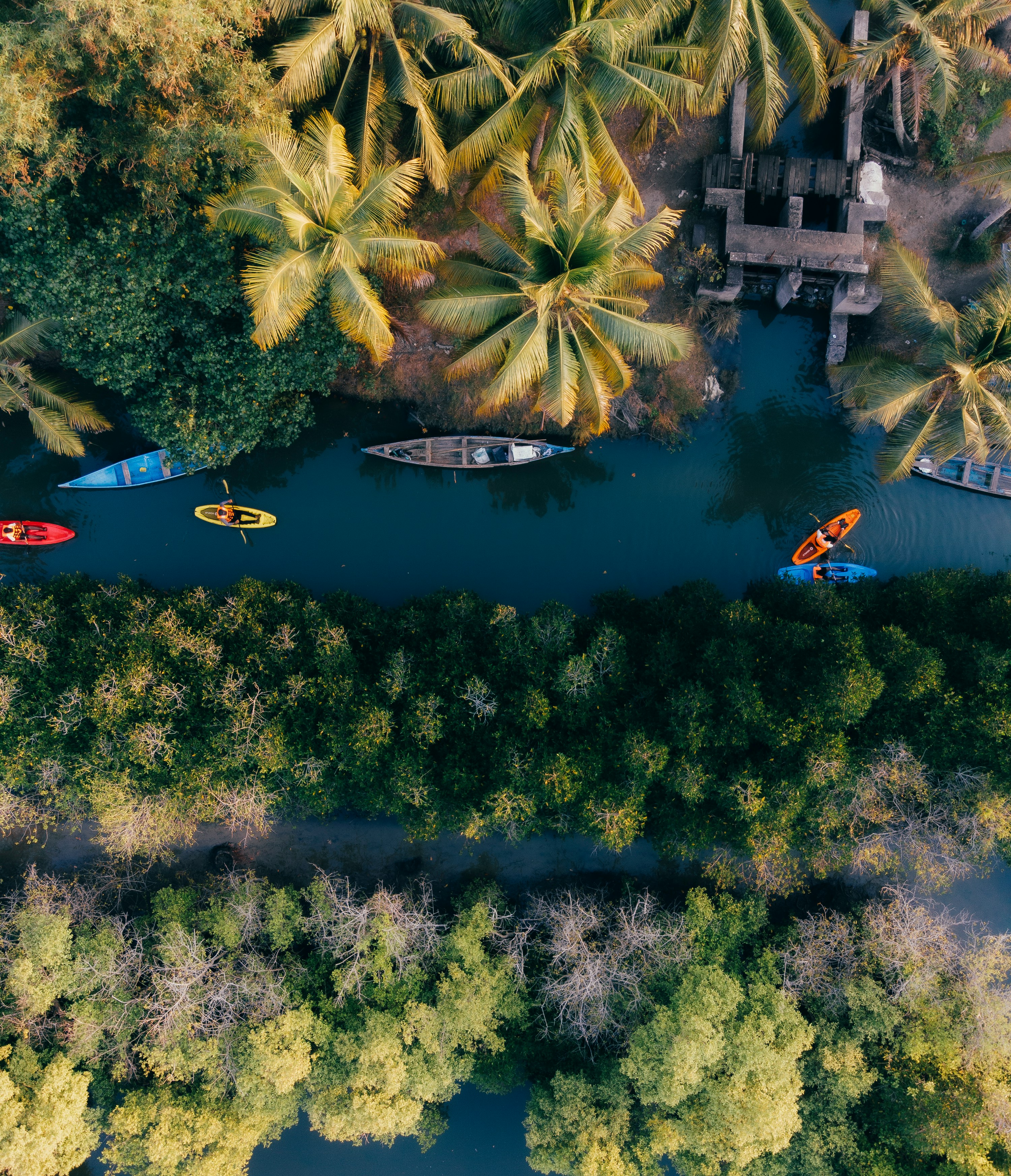 Alappuzha