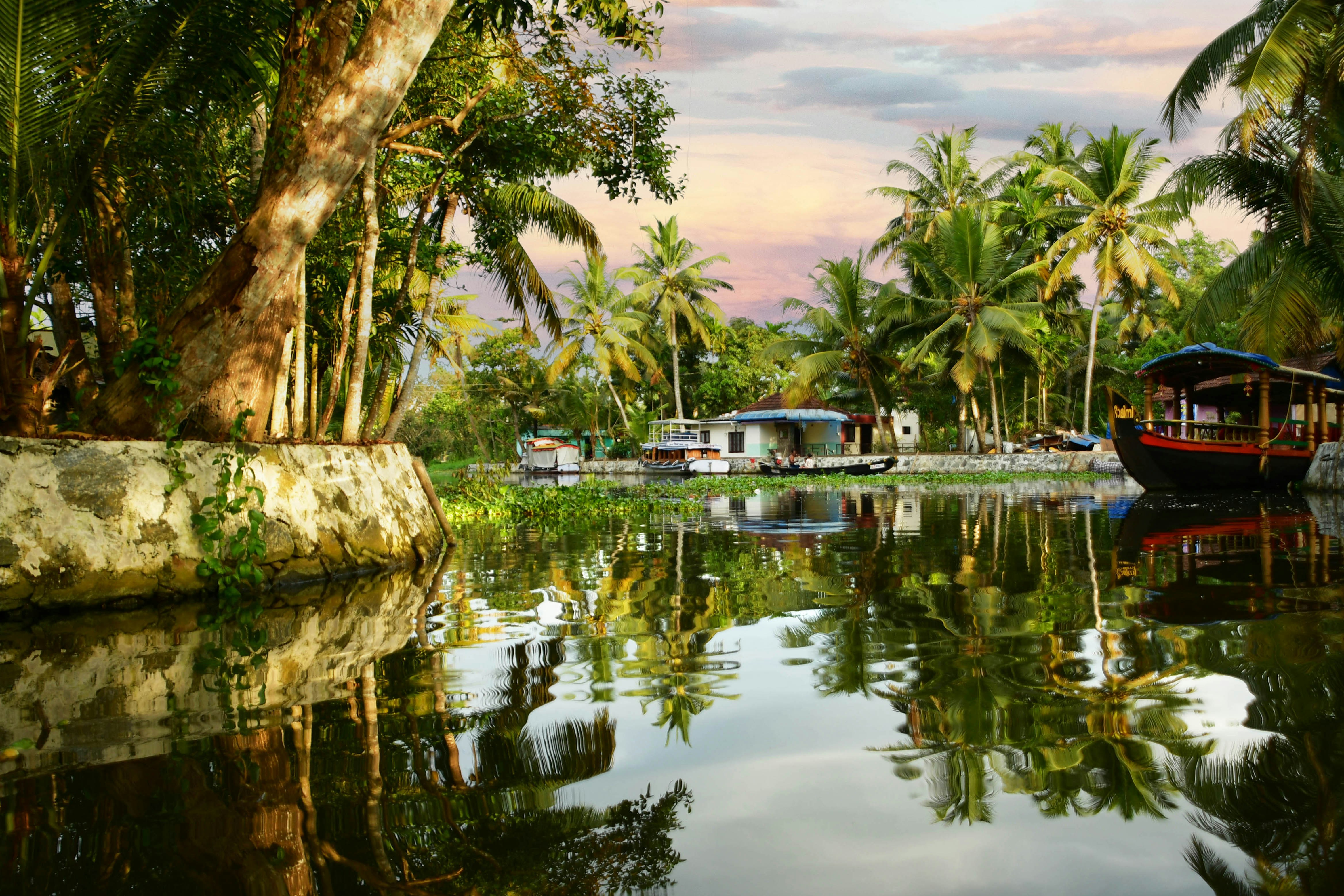 Alappuzha Premium
