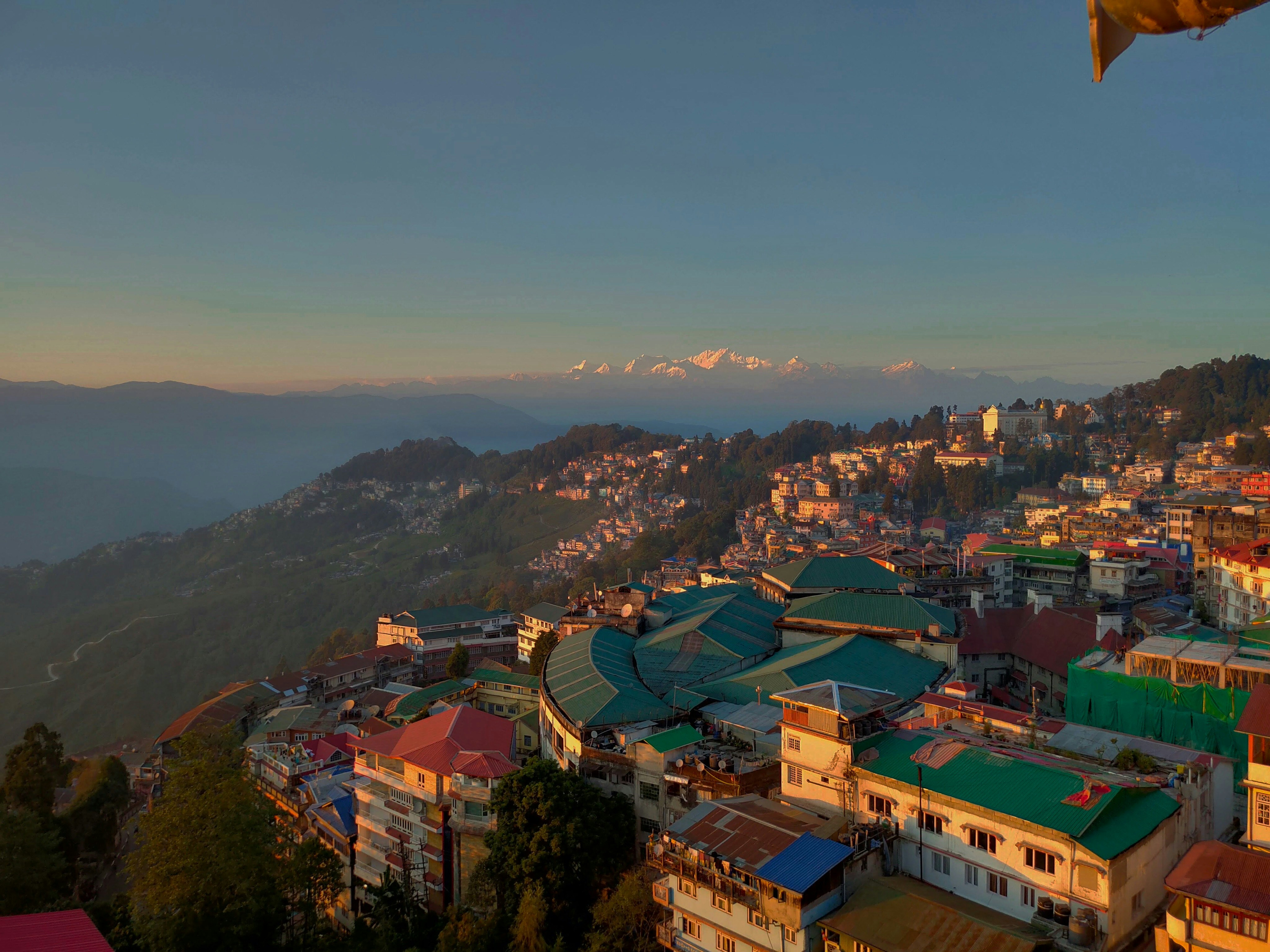 Darjeeling Premium