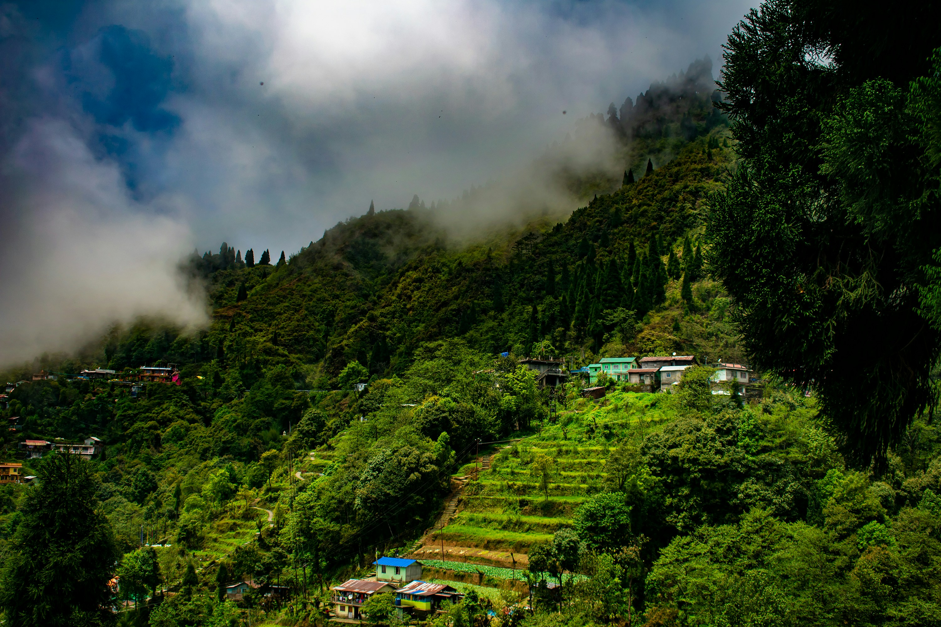 Darjeeling West Bengal