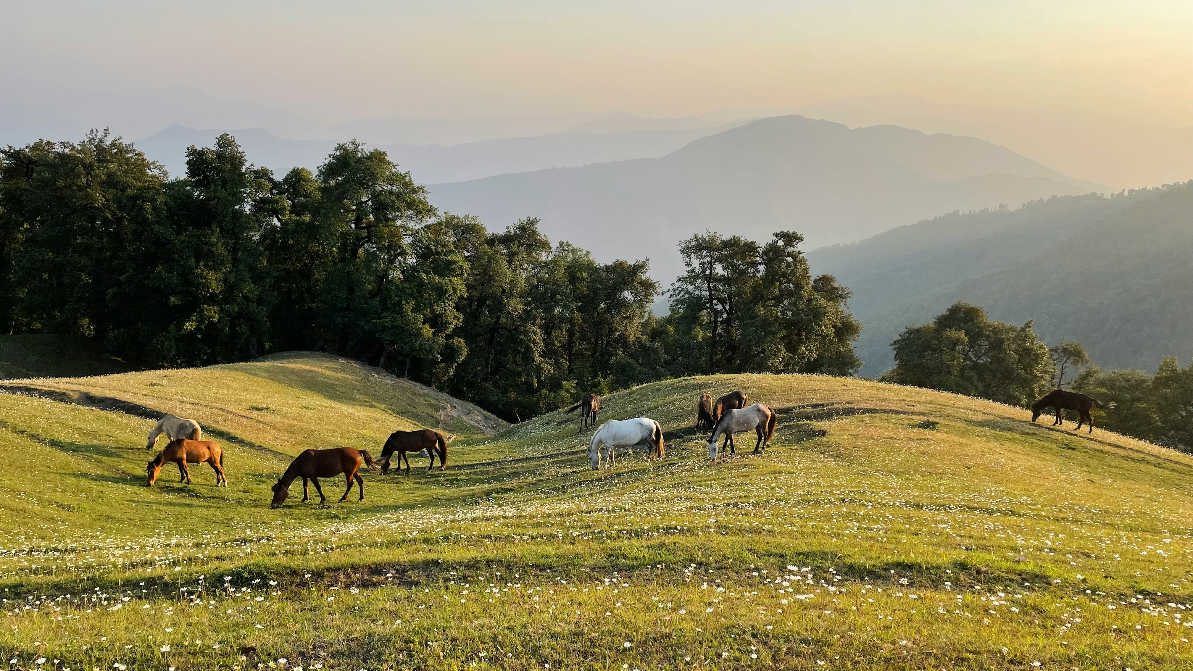 Dehradun Adventure Tour