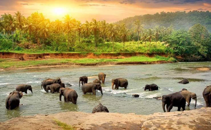 Thekkady