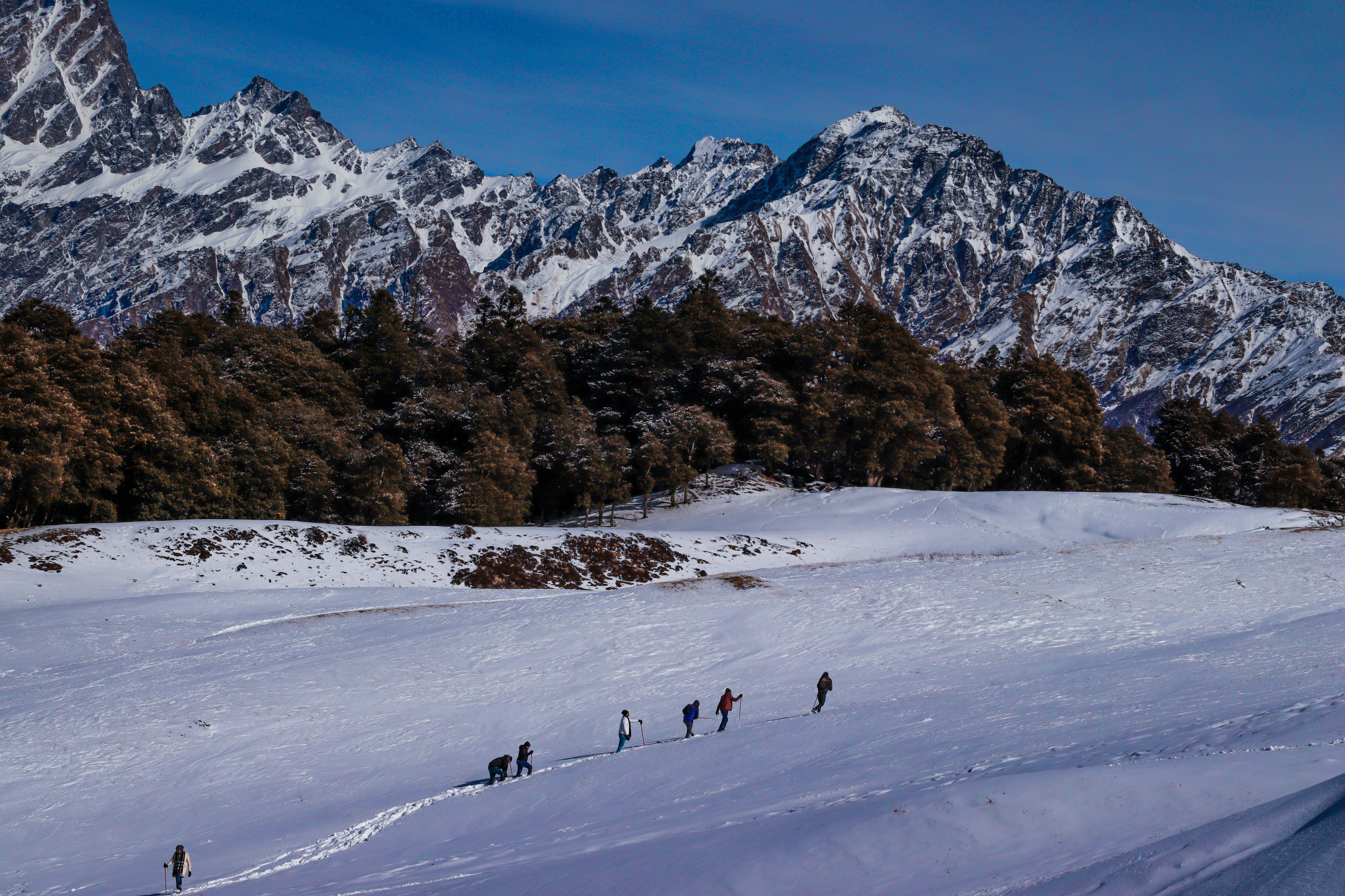 Auli Adventure Tour