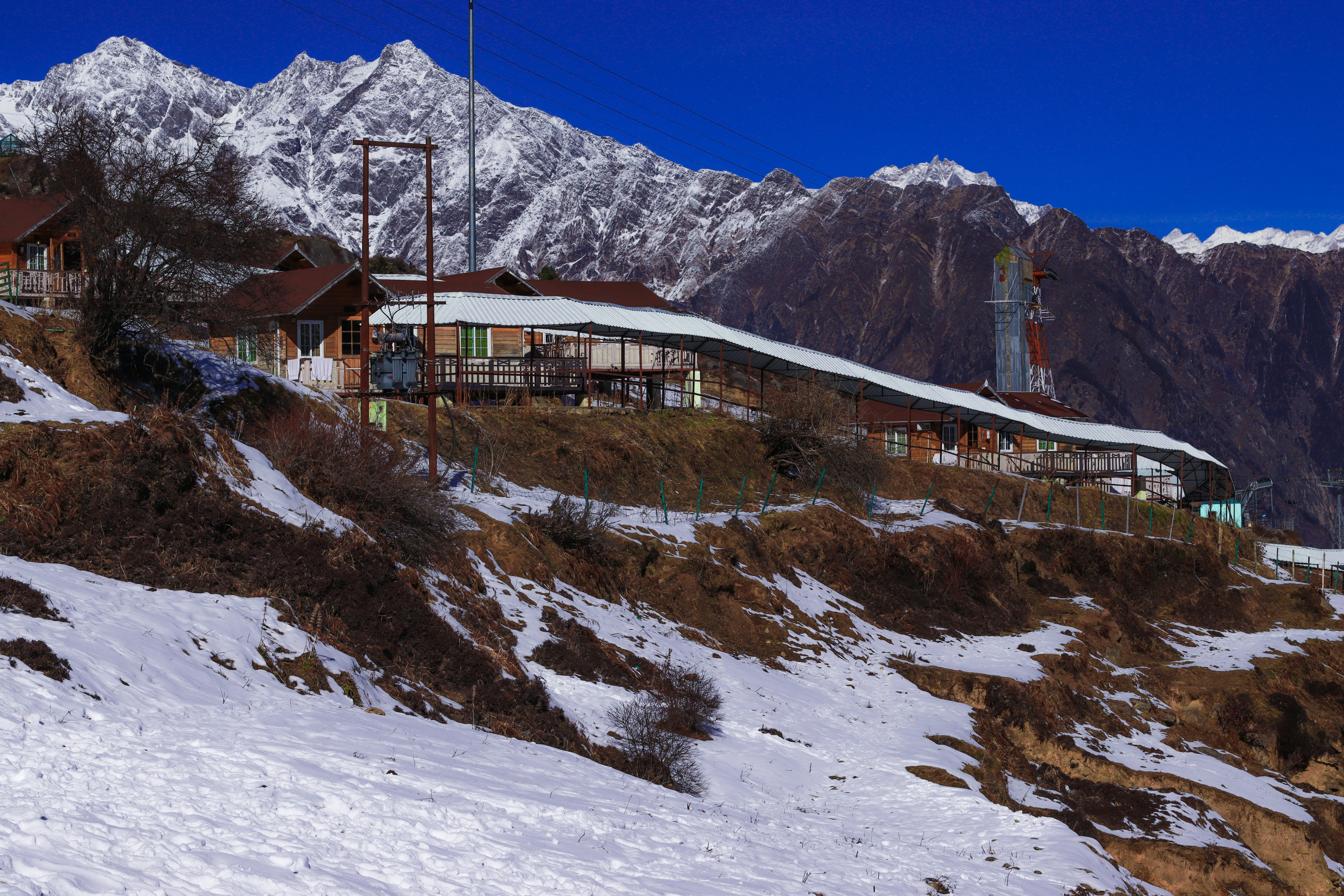 Auli