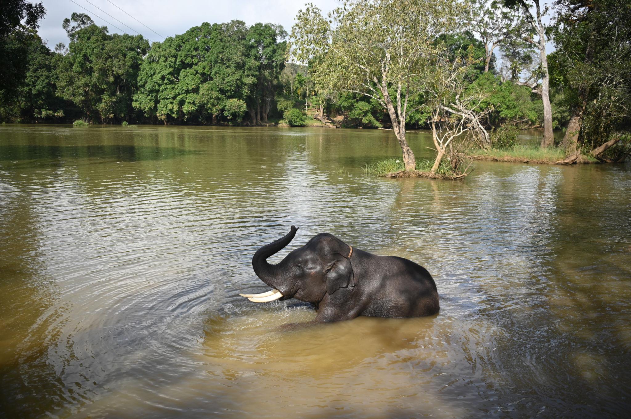 About Coorg