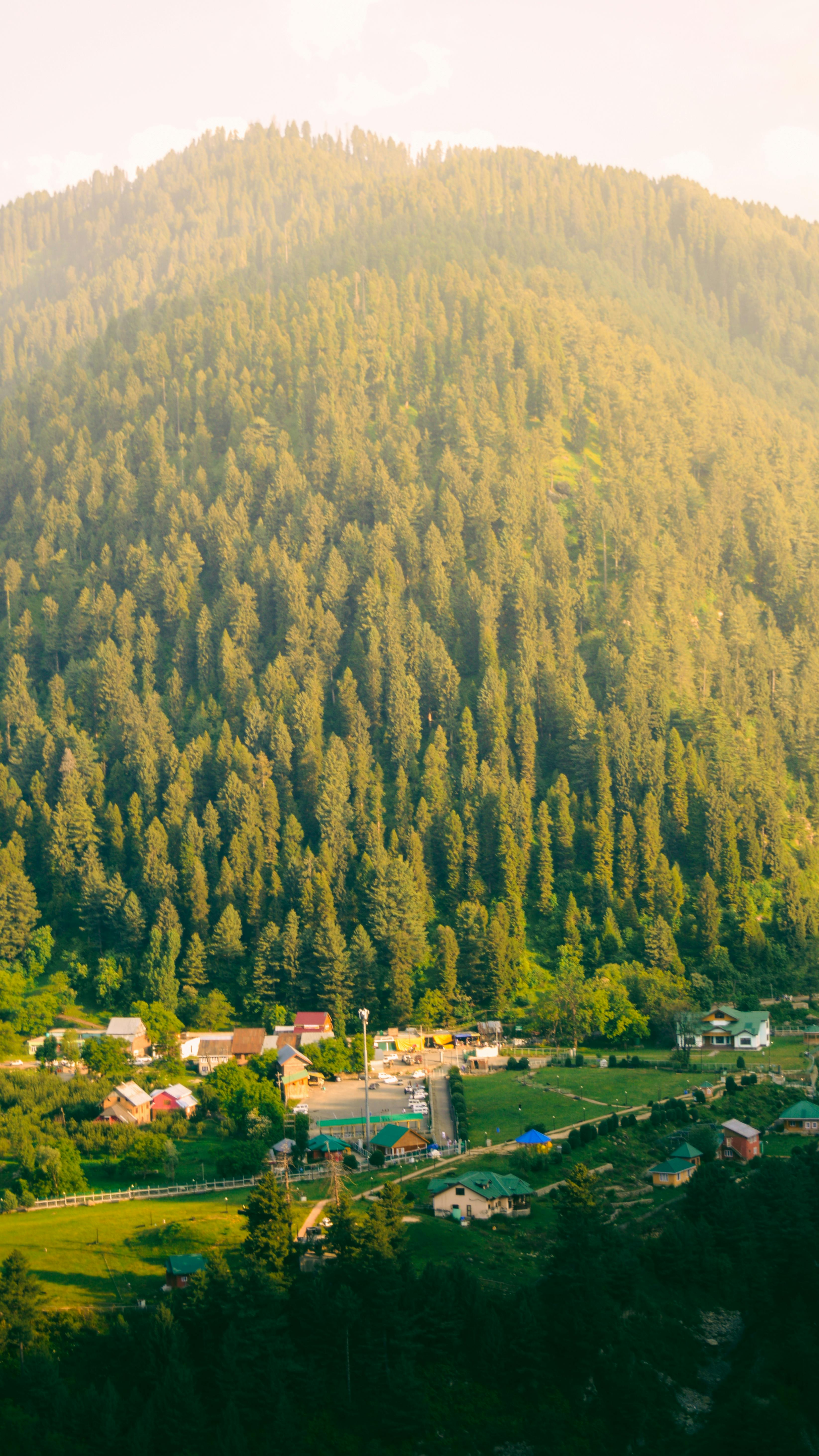 Dalhousie Tour