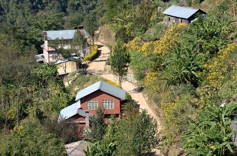 Dimapur Premium