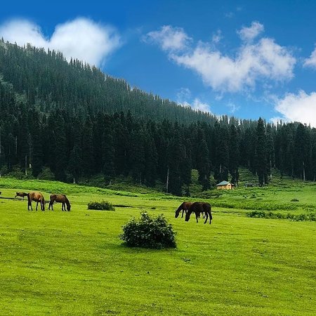 Doodhpathri Adventure Tour