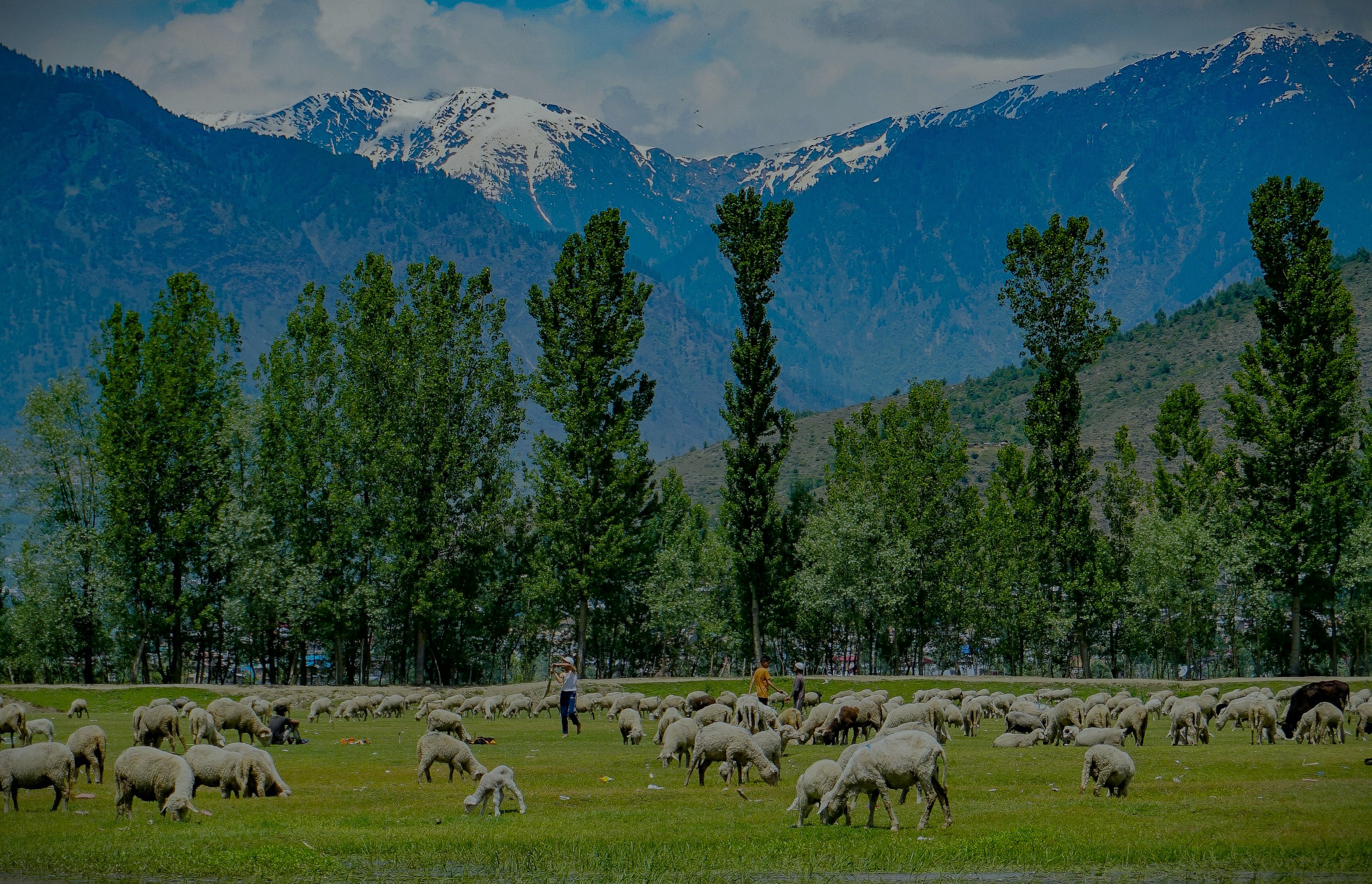 Himachal Pradesh