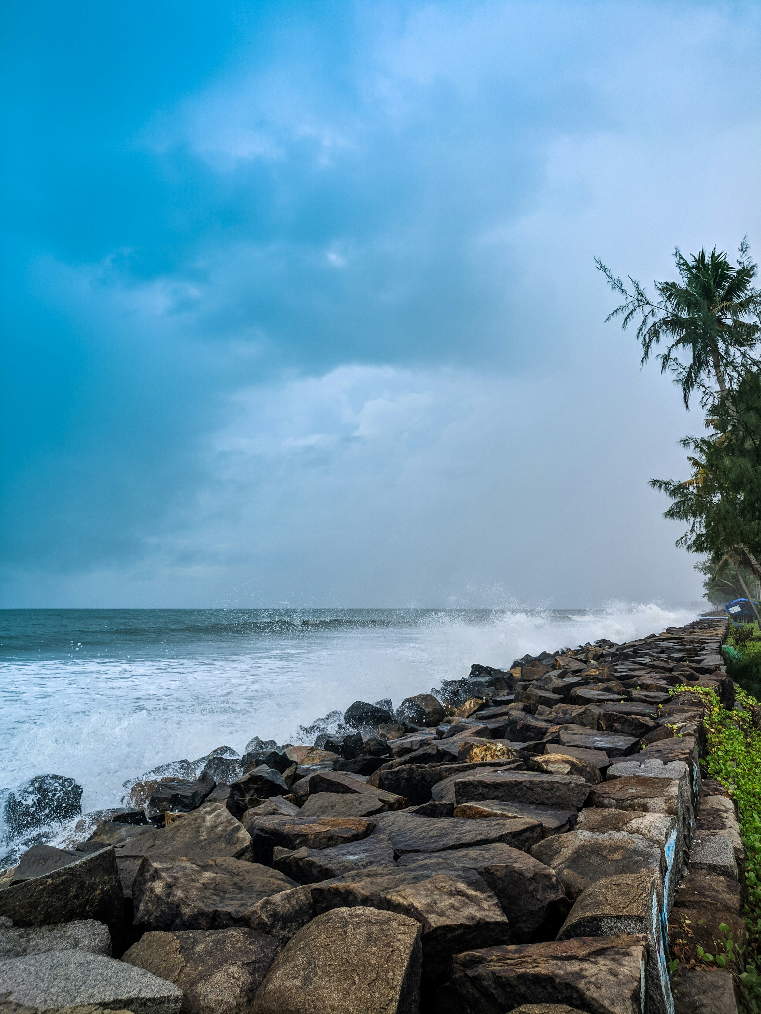 Kochi Adventure