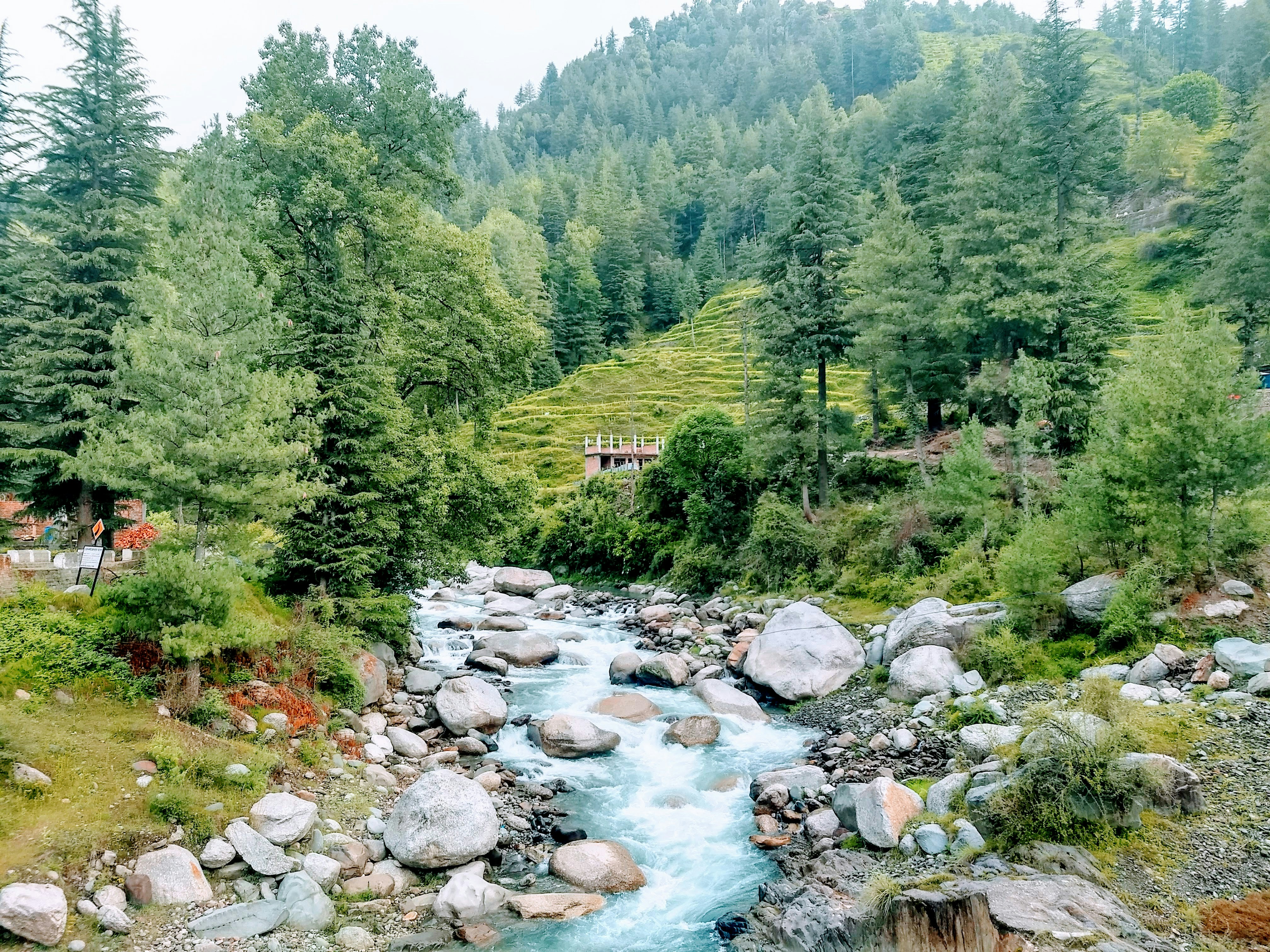 Mandi