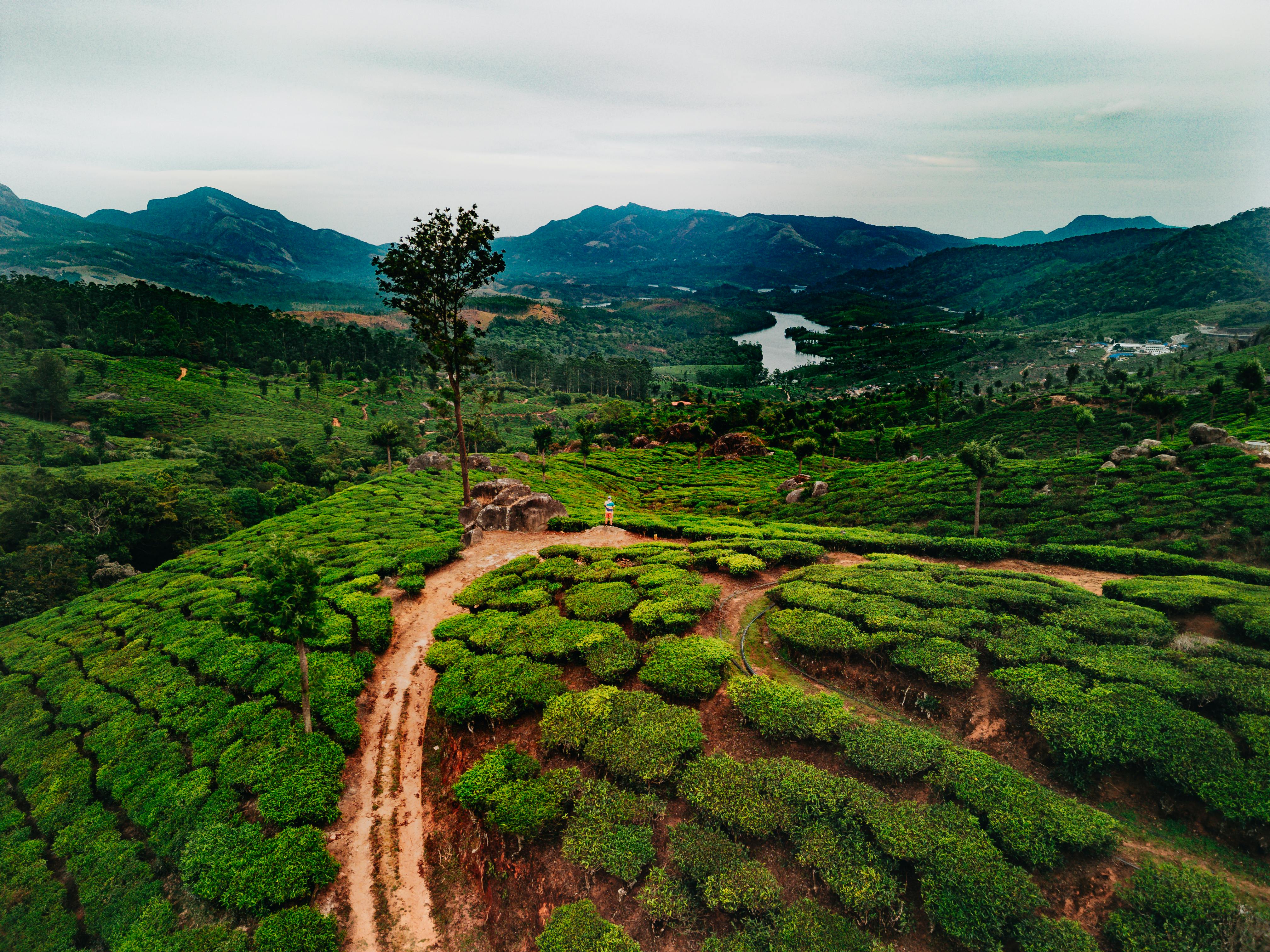 Munnar Premium
