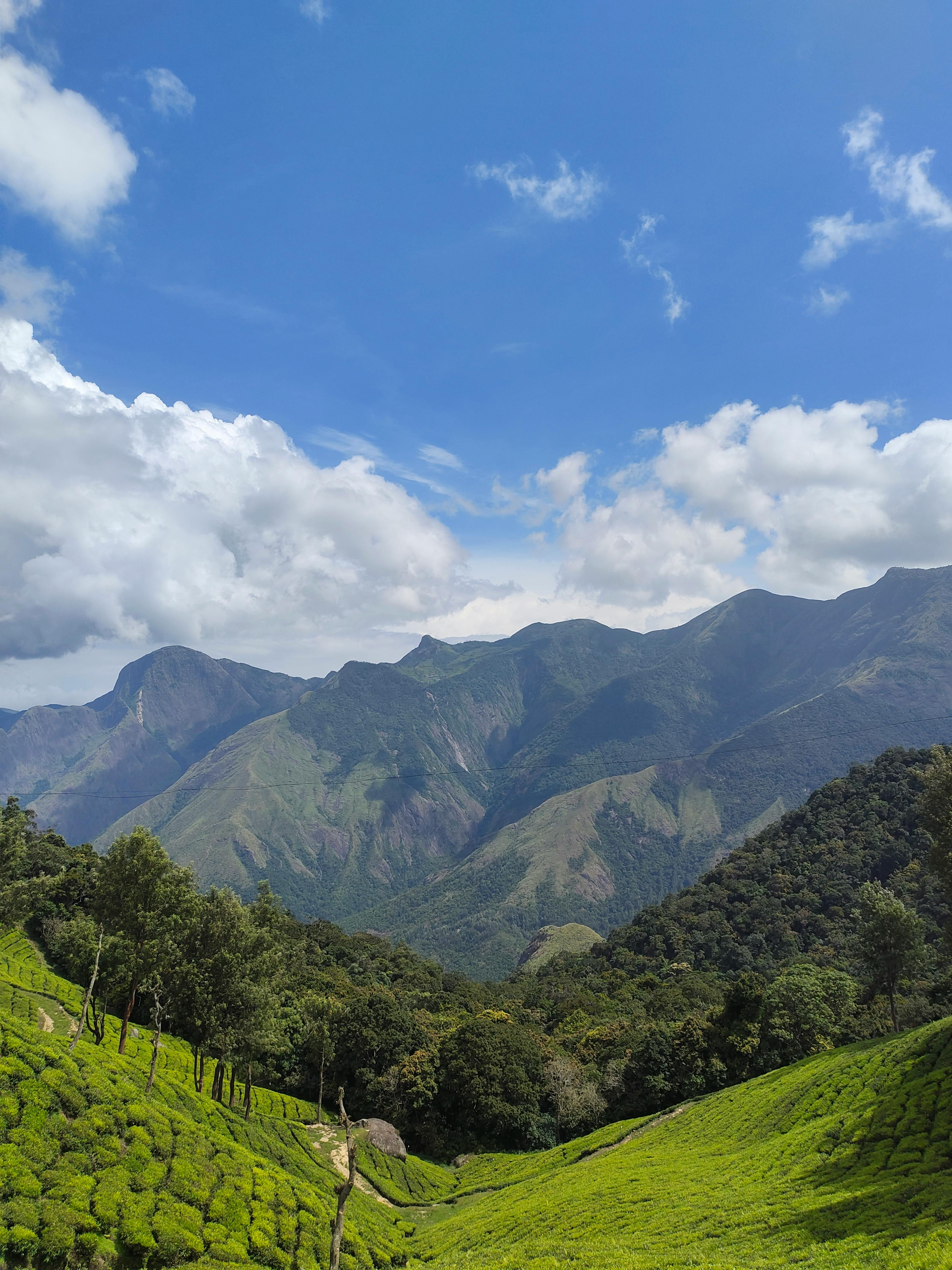 Munnar 