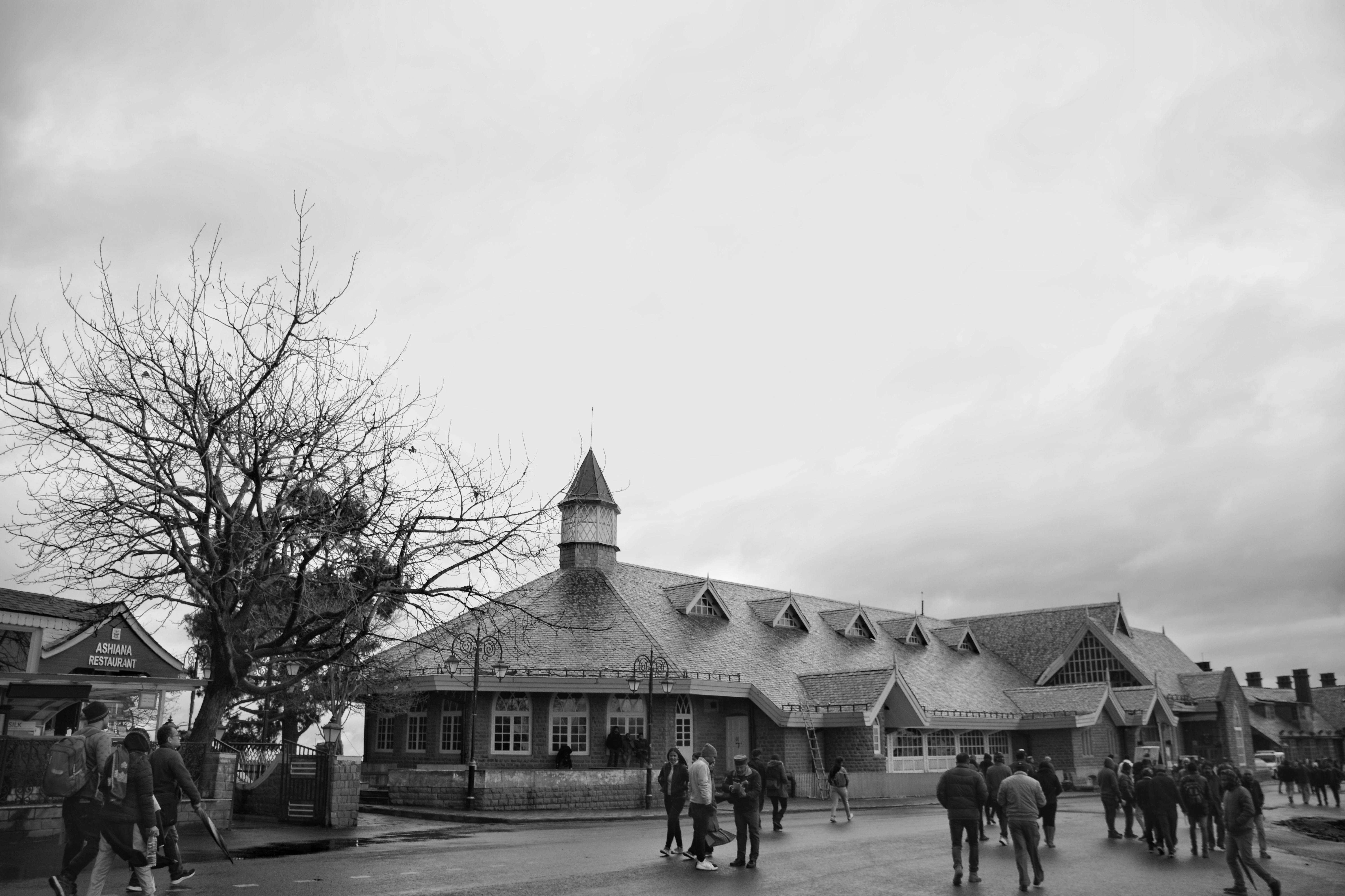 Shimla