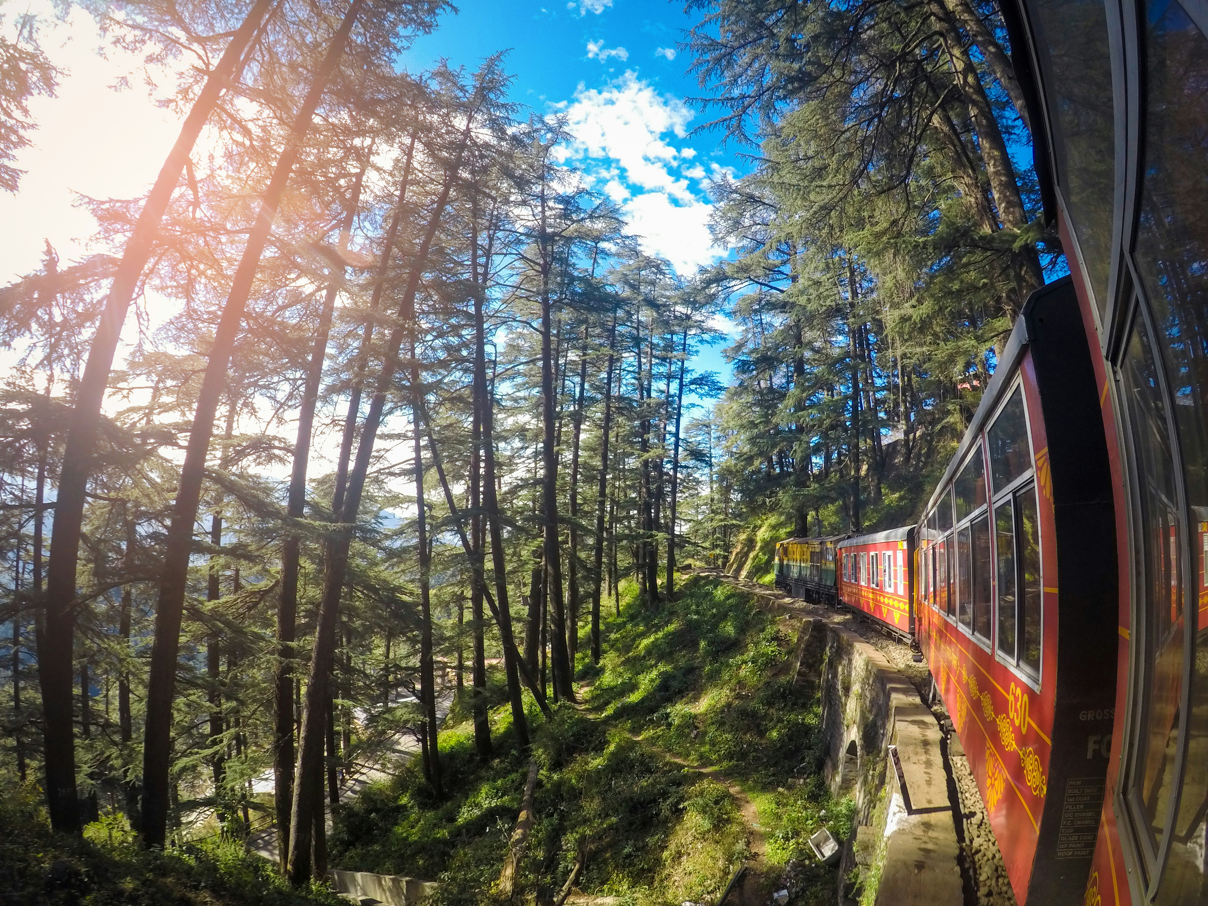 Shimla Premium