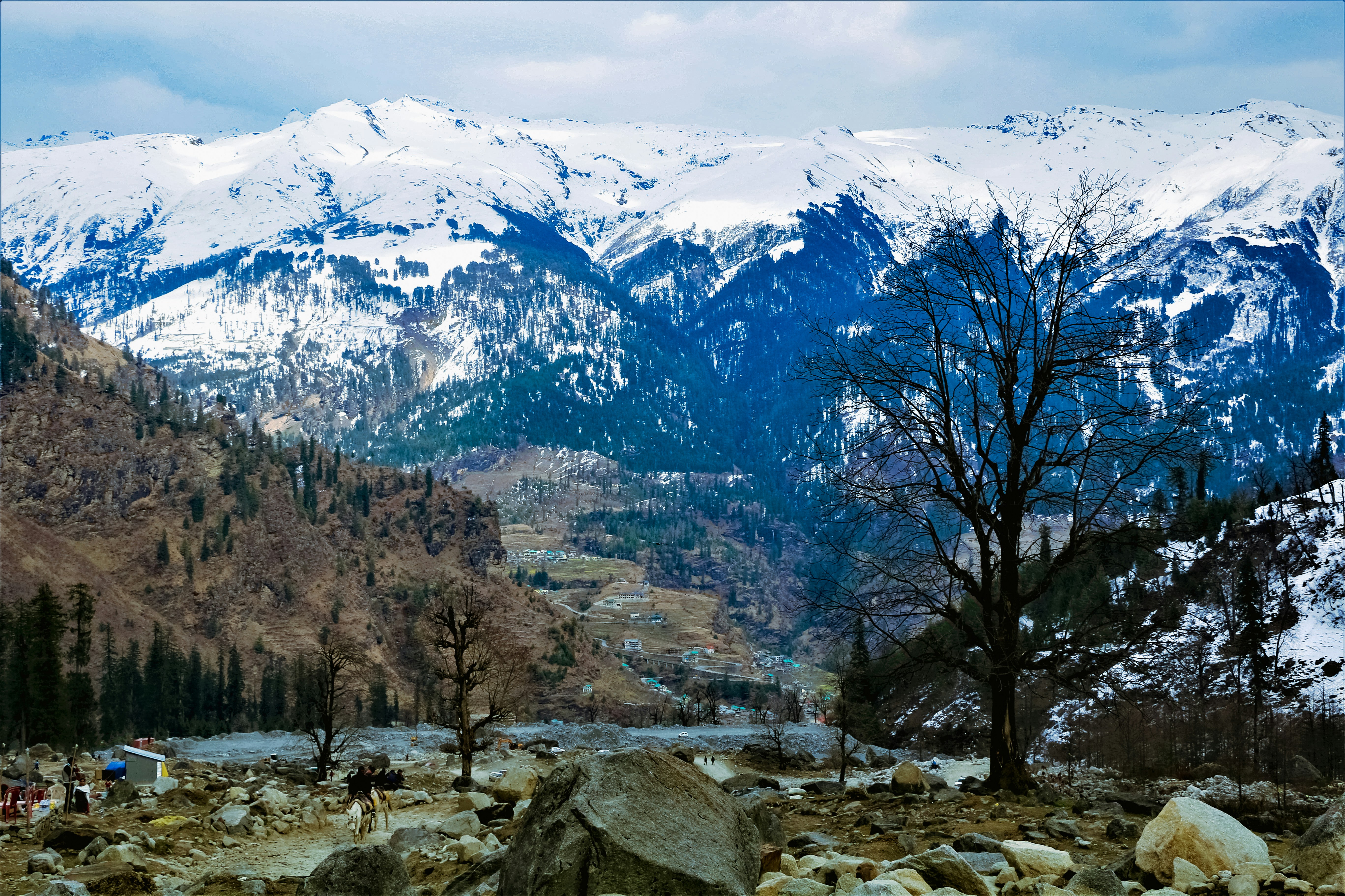 Solan